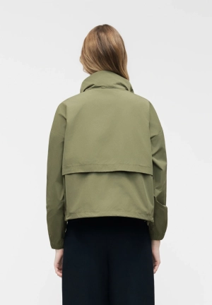  V15 GREEN LICHE
