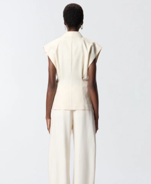  C00 SWAN WHITE