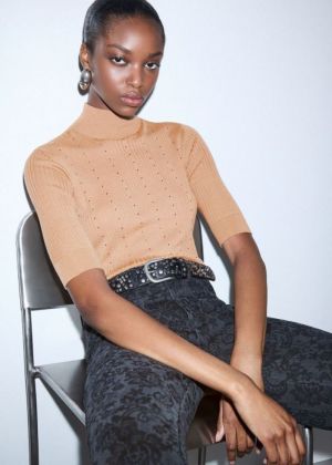 81020 COCOA CRE