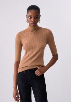 81020 COCOA CRE
